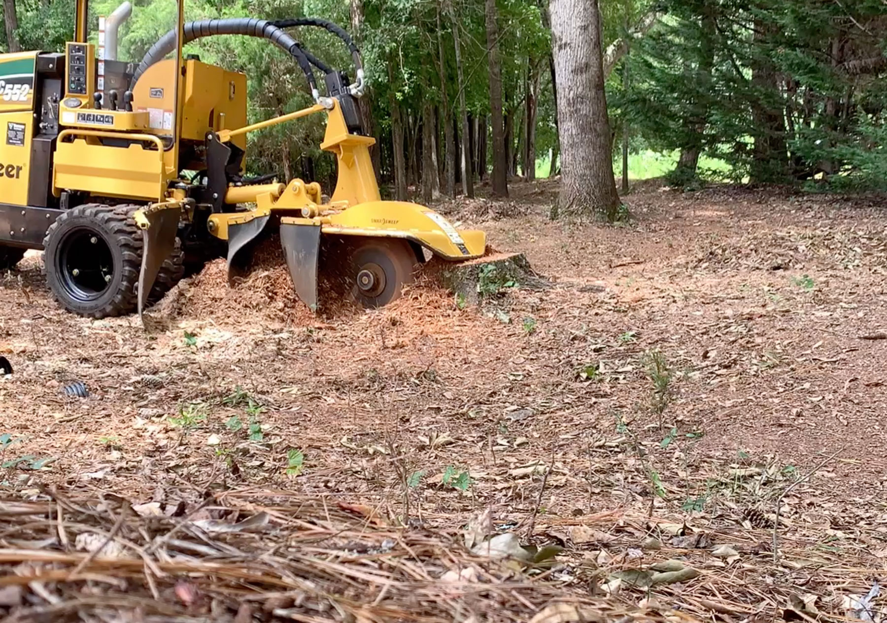 Before and After Stump Grinding with Vermeer